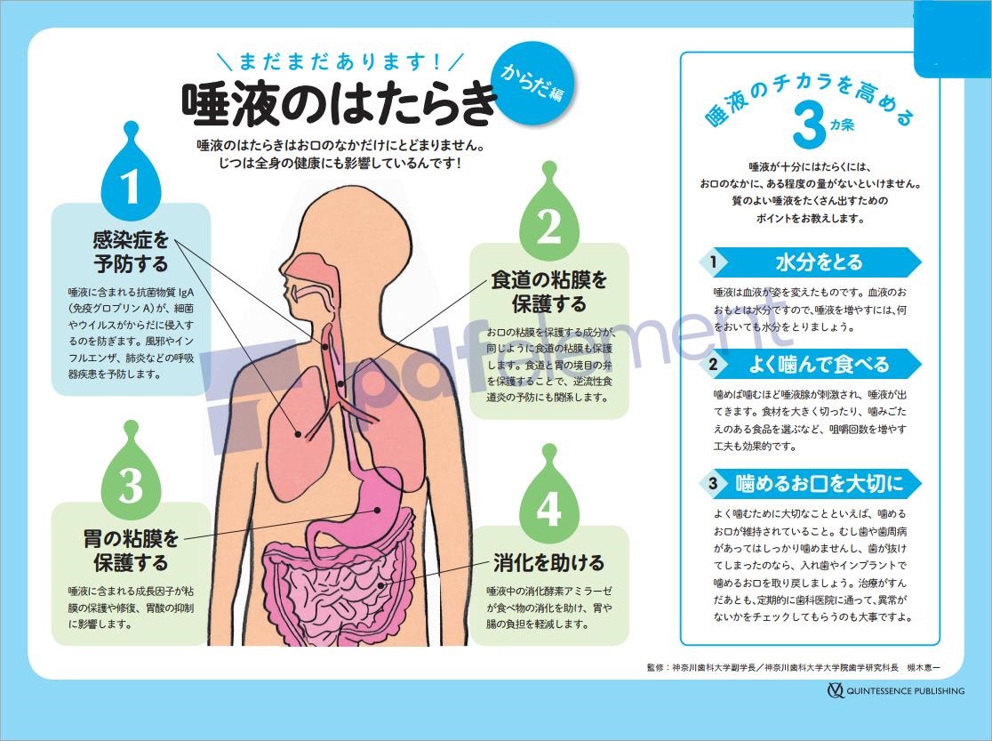 唾液のはたらき