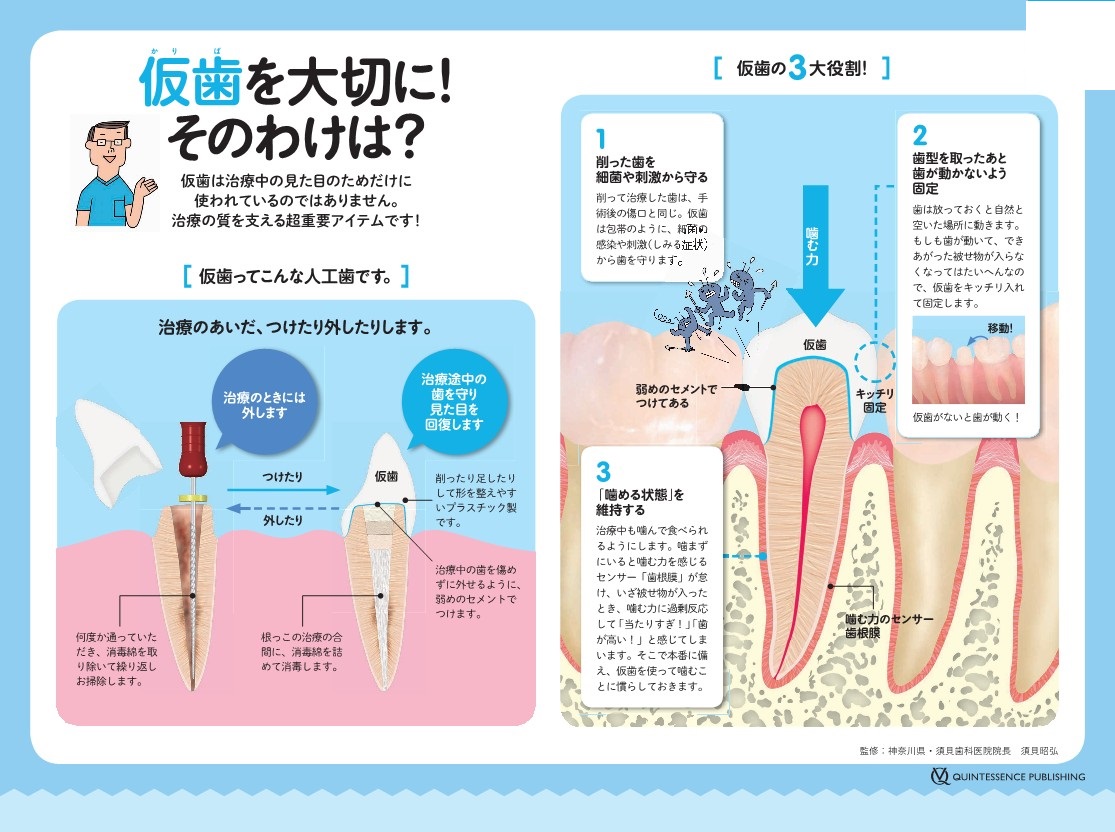 仮歯の役割とは？